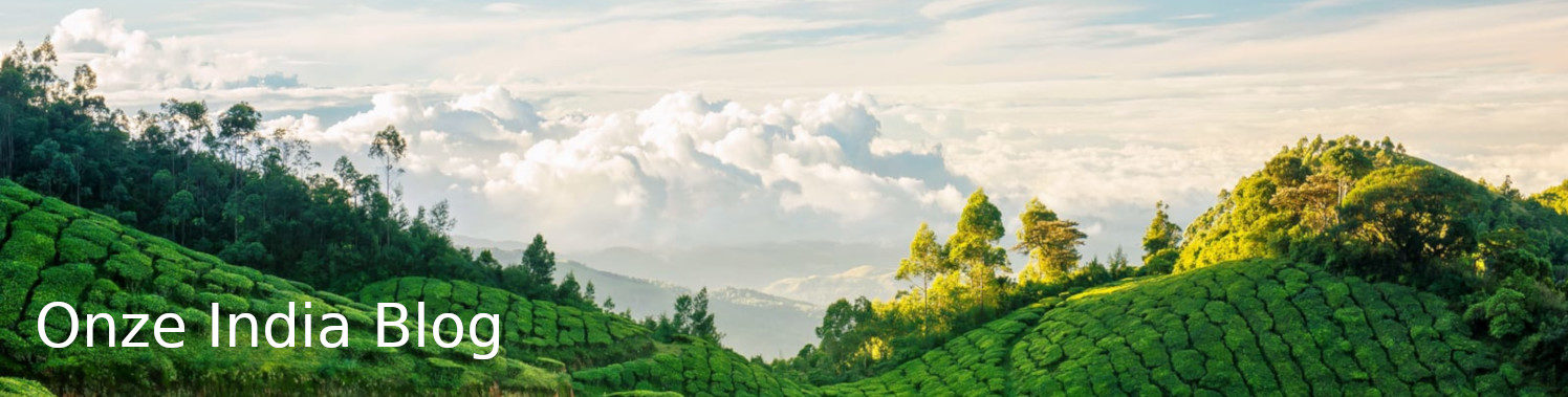 Onze India Blog